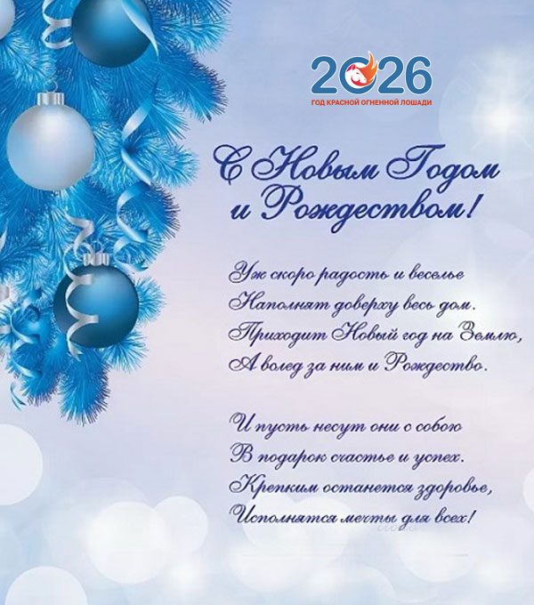 С наступающим Новым Годом и Рождеством